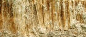 Brown Asbestos Fibre