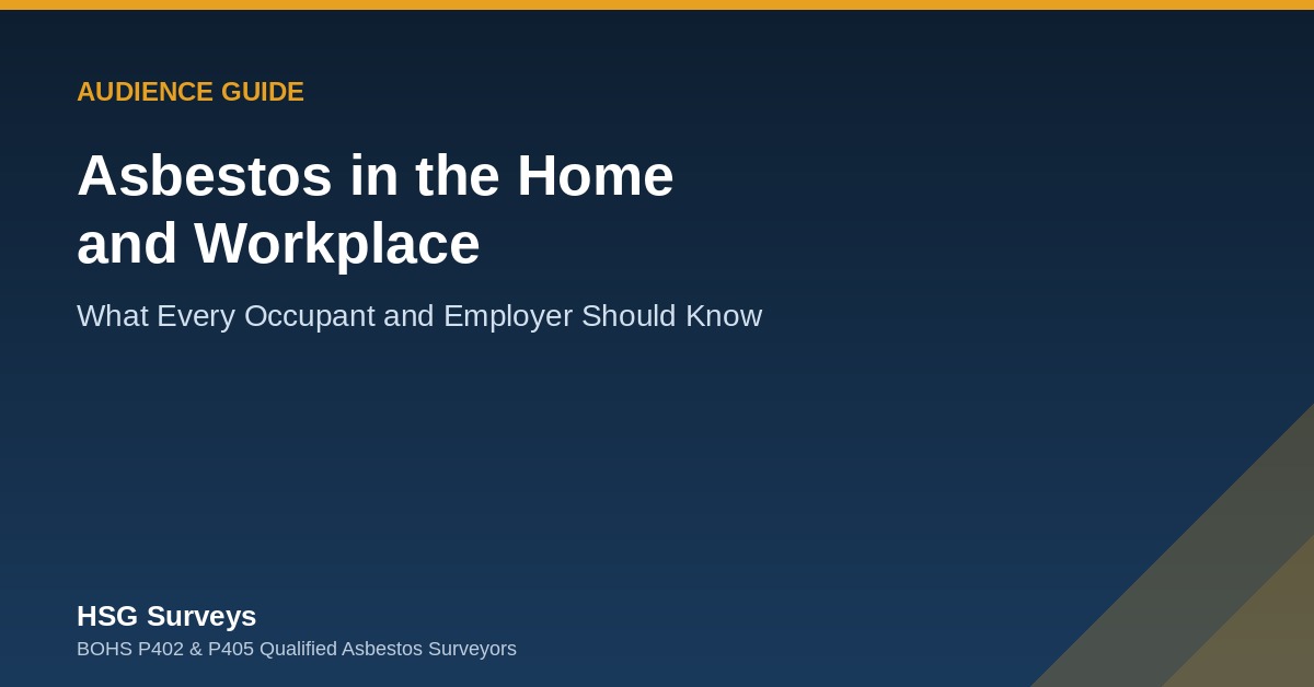 Asbestos home and workplace safety guide